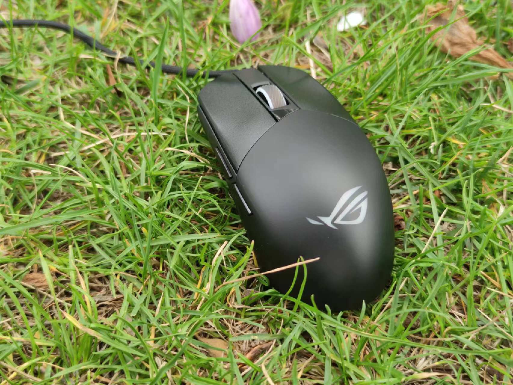 原装充电器容易坏吗_rog 3原装充电器多少w_原装充电器荣耀70多少钱一个