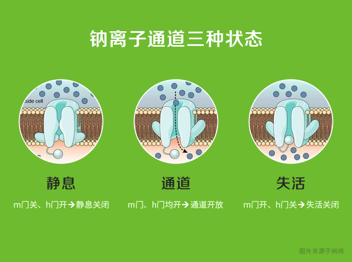 伤害直接机制和根本机制_机制对抗本_机制对抗是什么意思
