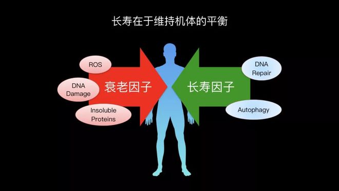 机制对抗是什么意思_伤害直接机制和根本机制_机制对抗本