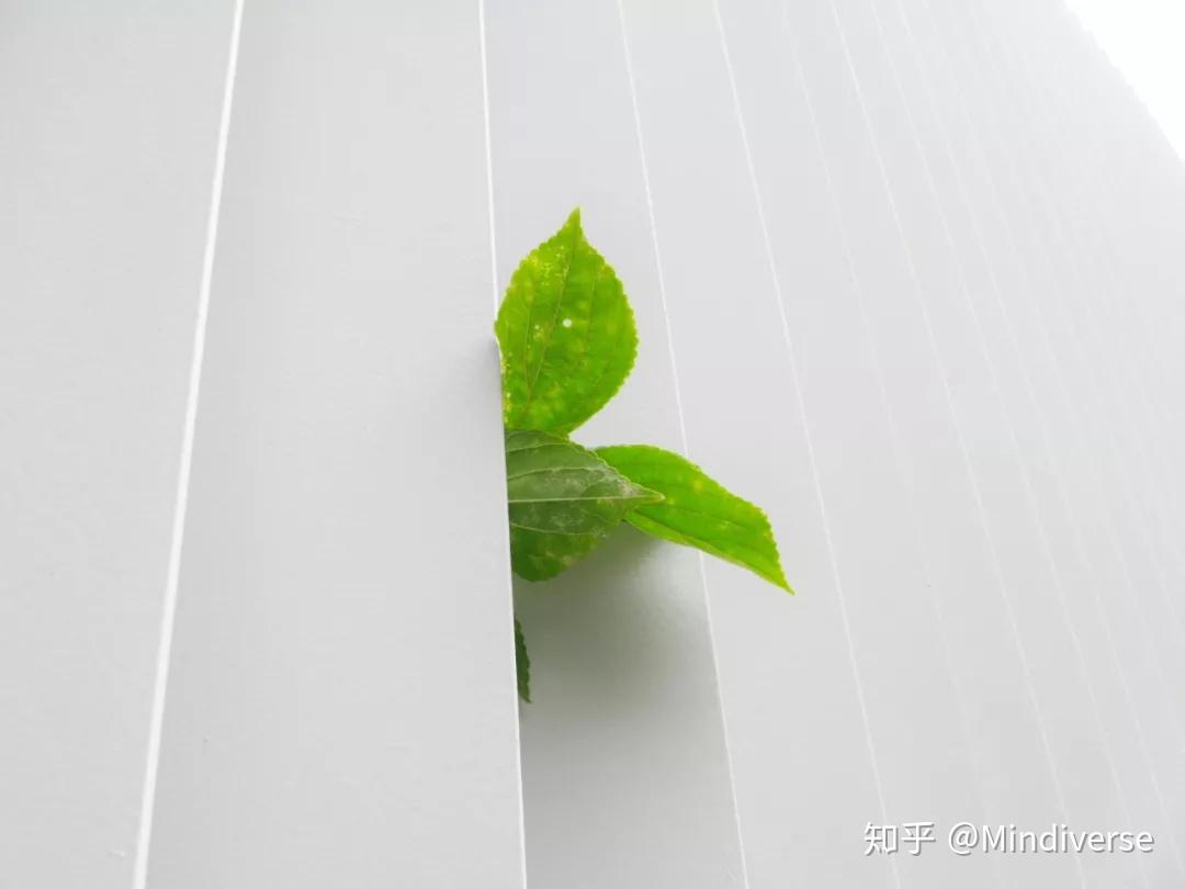 telegram怎么玩 知乎_知乎玩崩惊悚游戏小说_知乎玩崩惊悚游戏