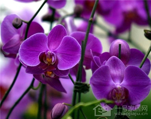 惠州哪里有游戏城_惠城 游戏_惠州同城游戏大厅