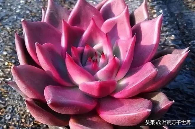 tp钱包的客服人工电话_京东企业钱包客服人工电话_koo钱包客服人工电话