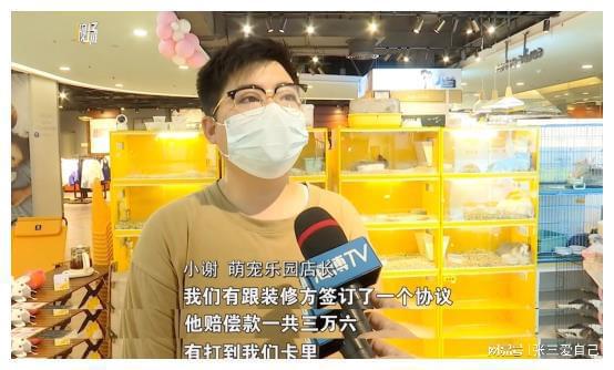 钱包合约地址什么意思_tp钱包转账转到了合约地址_钱包的合约地址可以收款吗
