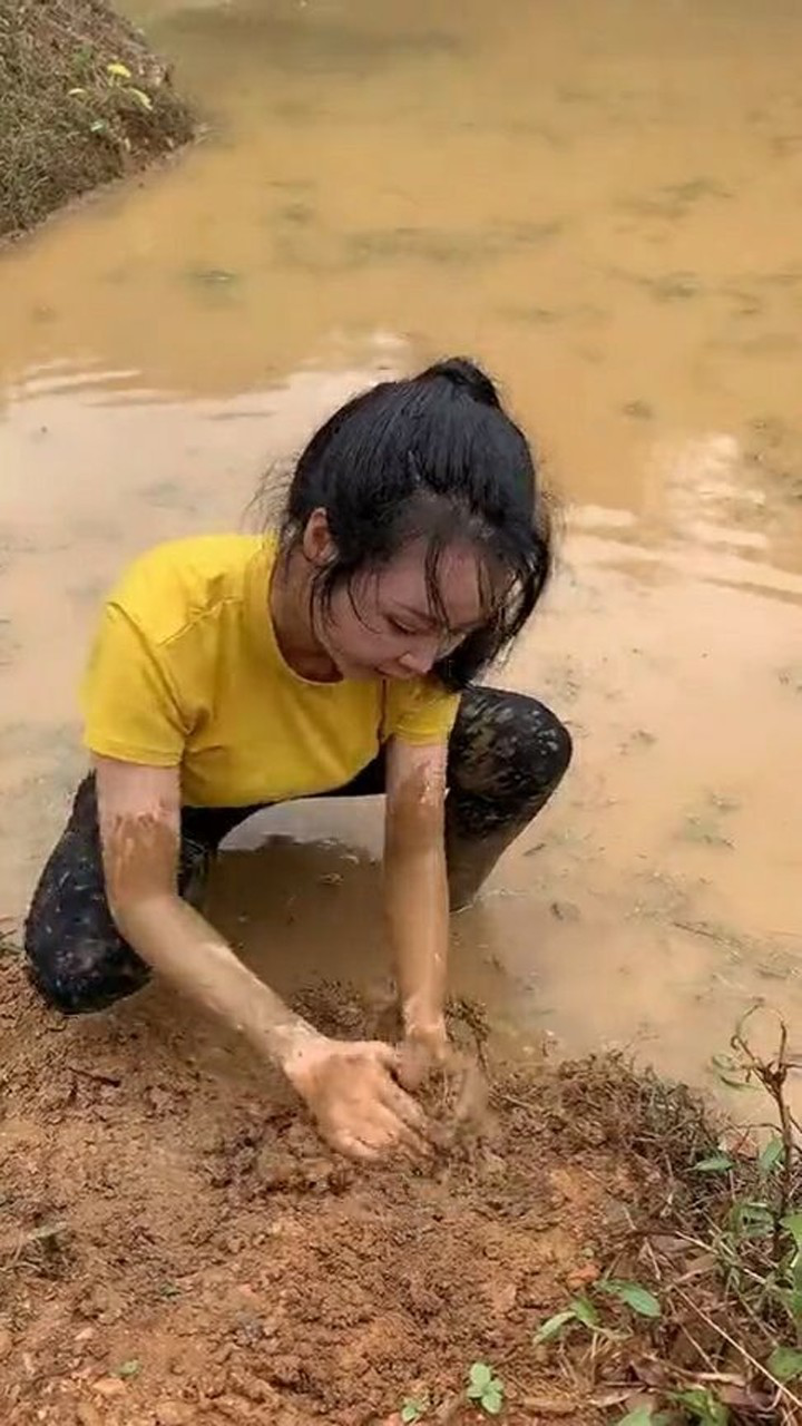 mudgame_mudgame_mudgame