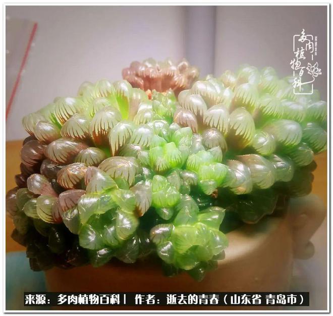 钱包转币到交易所要多少费用_转账人民币是什么意思_tp钱包如何转账人民币