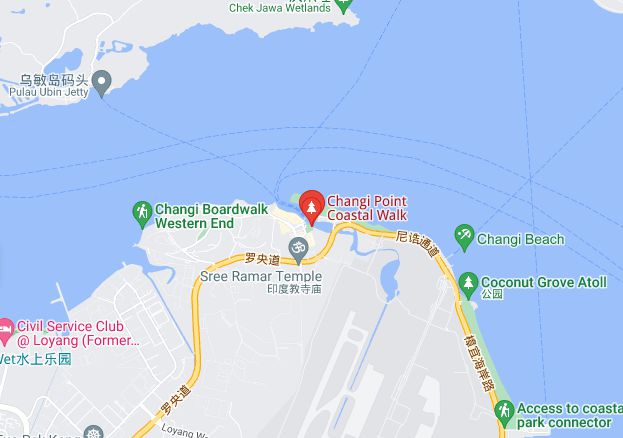 风帆纪元商会贸易路线_sailingera贸易路线_大航海时代4黄金贸易路线
