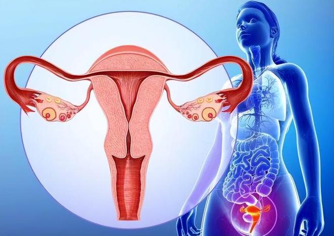 安卓版Telegram下载_安卓版Telegram_telegrm安卓版