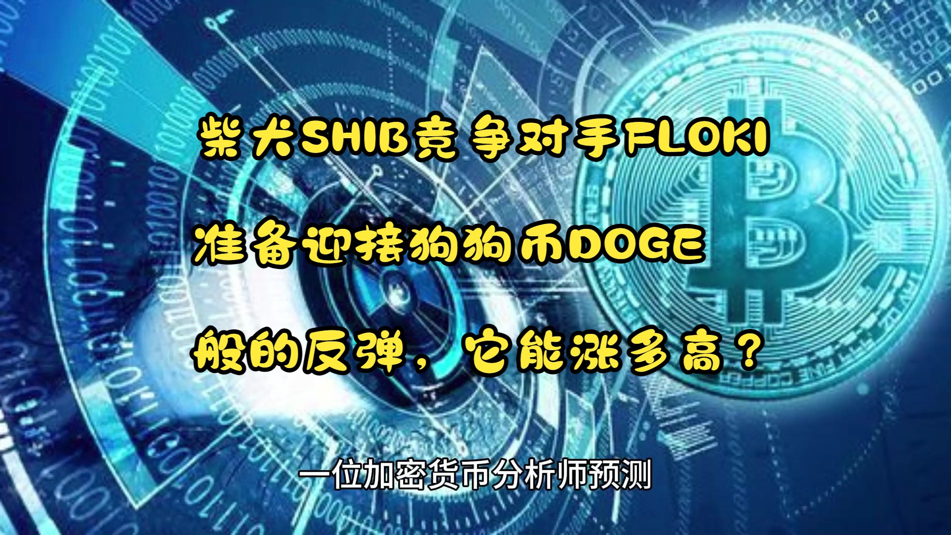 狗狗币能放钱包里面吗_狗狗币钱包容易被盗币吗_狗狗币可以放tp钱包吗