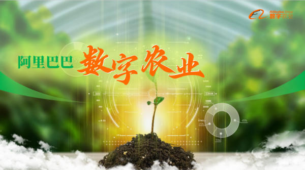 硬件钱包的主要功能是_imkey硬件钱包有啥作用_硬件钱包的原理