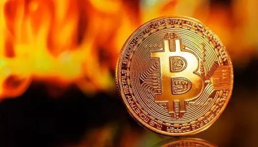 im钱包怎么用trc转账_钱包转账用支付密码吗_钱包转出t+1