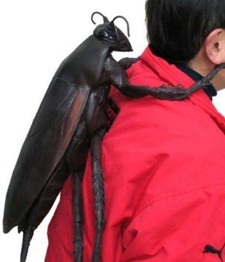 趣味挑战的特征_趣味性特征_趣味挑战活动
