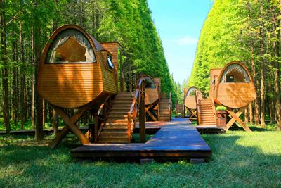 telegaram中文版_telegraem中文版下载_中文版纸飞机